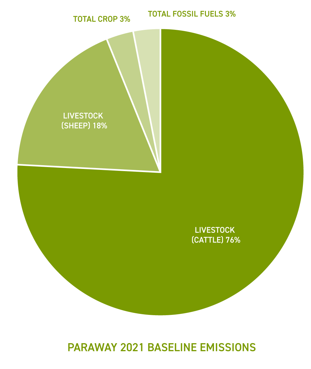 Paraway Baseline Emissions 2021