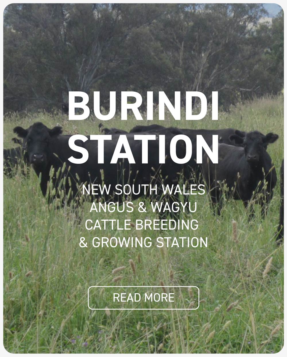 Burindi Station