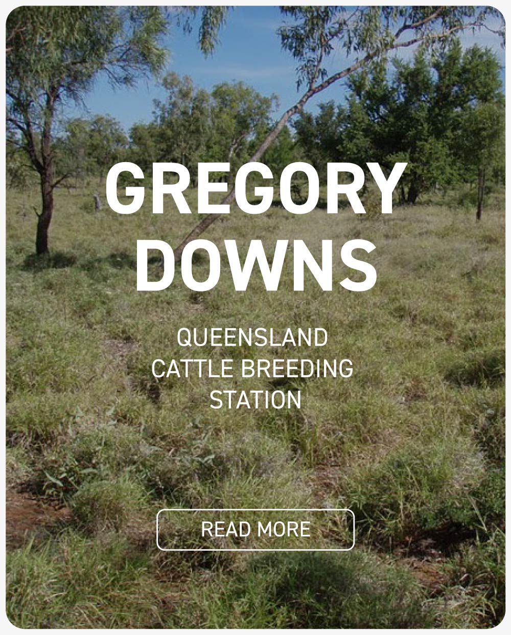 Gregory Downs